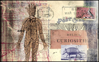 relics and curiosities